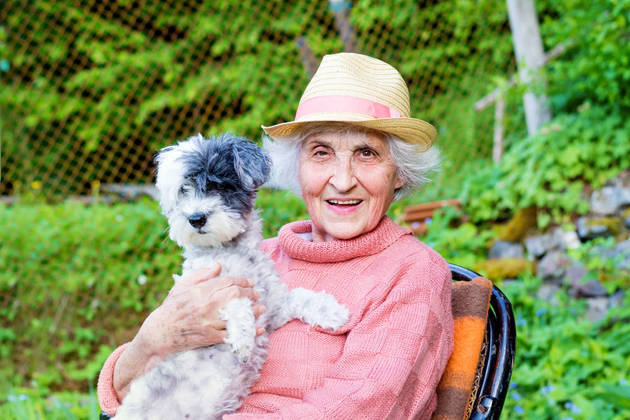 No Dia Mundial do Cachorro, celebrado nesta sexta-feira (26), o R7 entrevistou médicas veterinárias especializadas em cuidado animal para listar as dez raças de cães que são ideais para pessoas idosas. De acordo com as profissionais, as de pequeno porte são mais indicadas para este perfil de tutor. Confira as sugestões: Estagiário do R7 sob supervisão de Pablo Marques