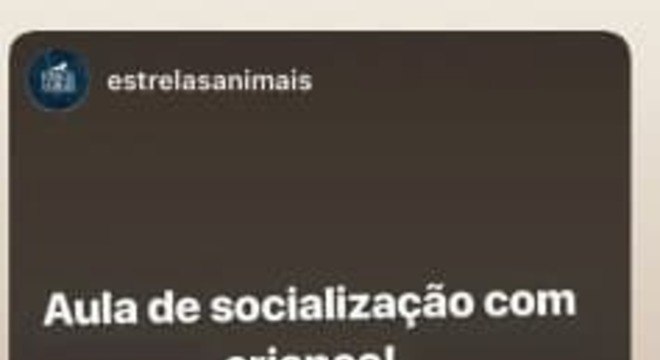 sabrina sato cachorro