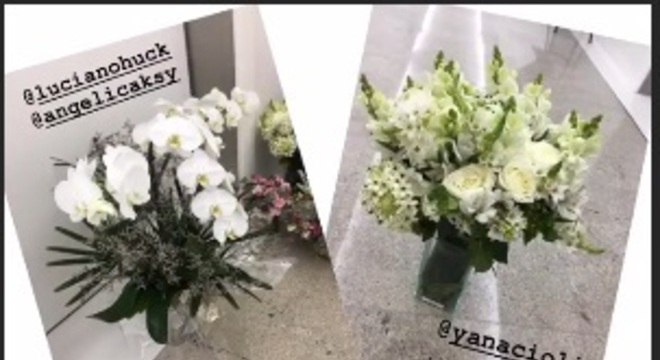 sabrina sato flores zoe