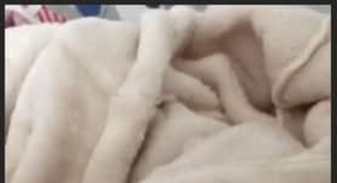 sabrina sato ticiane pinheiro presente