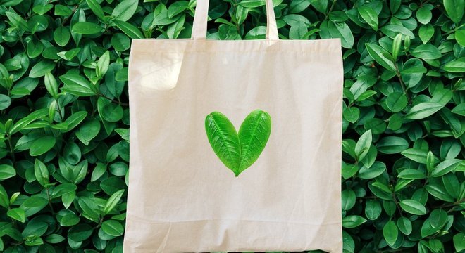 A resposta para tudo é reutilizar sua sacola o máximo possível, não importa o tipo que for