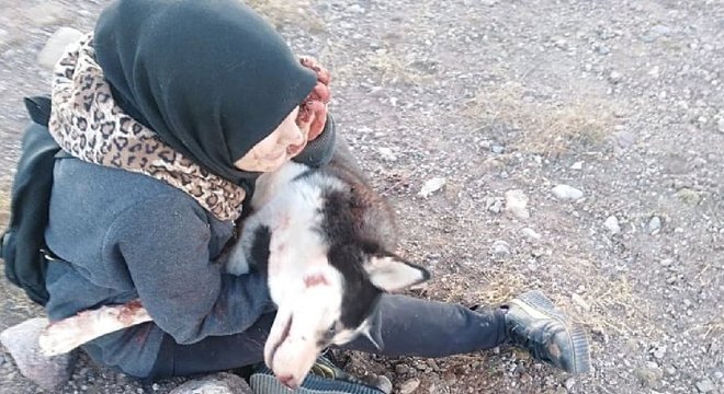 A família tirou essas fotos de Aseman depois que a mascote foi morta a tiros