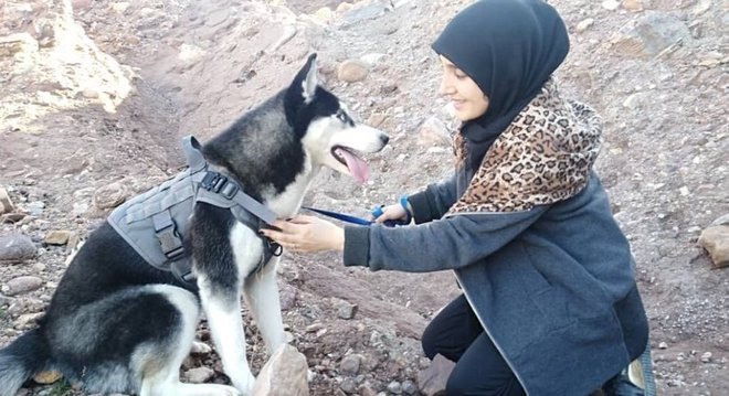 Sahba Barakzai amava sua cachorra, um husky siberiano de sete meses chamado Aseman