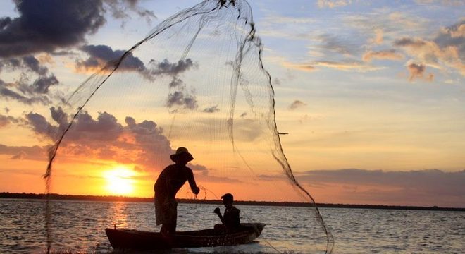 Saiba as consequências do vazamento de óleo no litoral brasileiro