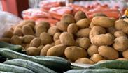 Higienização de produtos orgânicos é igual àquela feita em outros alimentos (@ehdecomer)