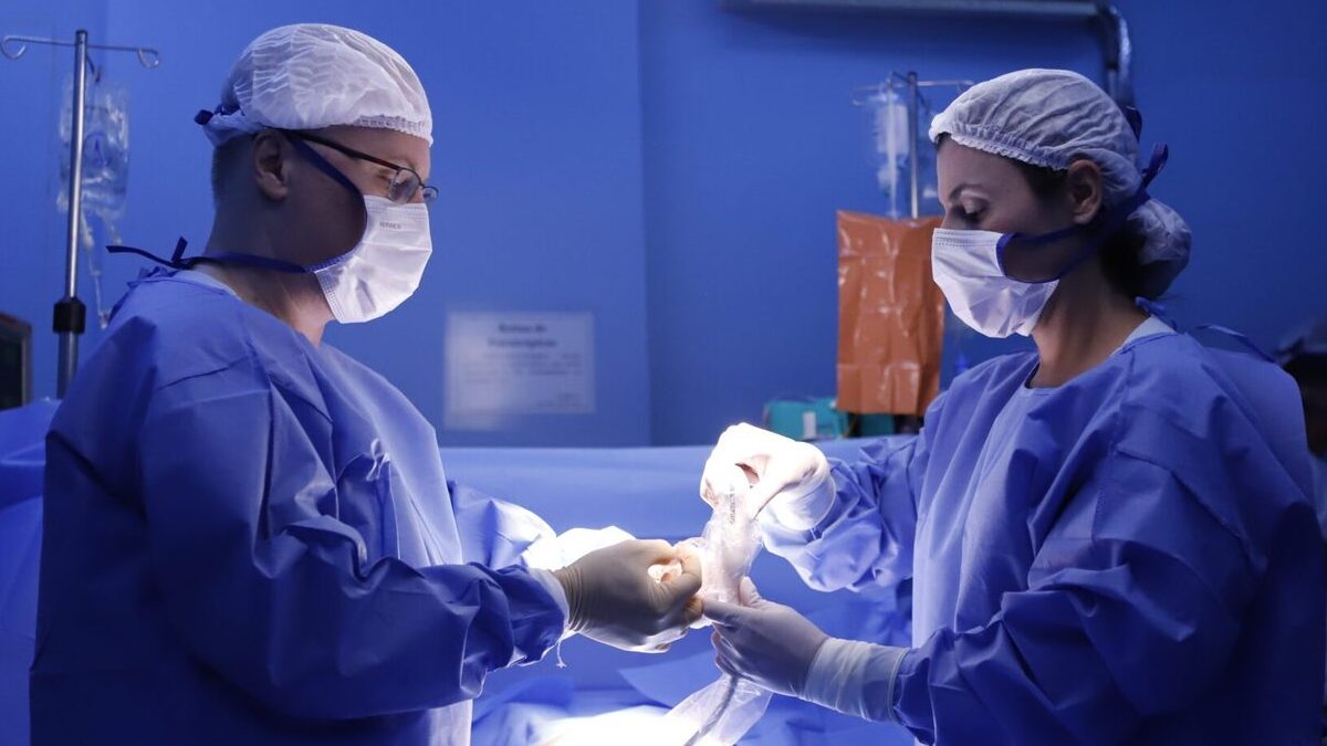 Com média de 25 cirurgias por dia, Brasil registra 9.136 transplantes em 2023, o maior índice em 10 anos