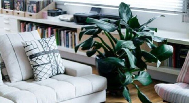 sala decorada com tapete de couro com grafismo 