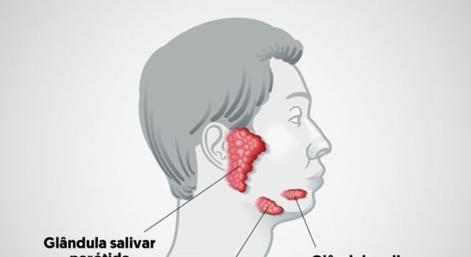 Saliva, o que é? Definição, glândulas salivares, funções e curiosidades