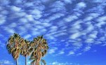 7. San Diego, CalifórniaQuando se pensa em Califórnia, é impossível não lembrar de Los Angeles ou San Francisco, mas San Diego é mais barata do que as vizinhas em praticamente tudo, desde tarifas de hotel até aluguel de carros. Entre os passeios gratuitos pela cidade estão as diversas praias californianas e caminhadas no calçadão