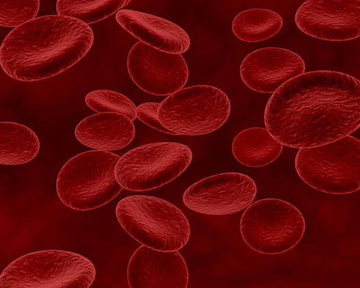 Um dos papéis da vitamina B12 é a produção de glóbulos vermelhos, células sanguíneas responsáveis pelo transporte de oxigênio dos pulmões para o resto do corpo. A falta desses glóbulos pode causar anemia, cujos sintomas incluem cansaço, fraqueza e palidez 