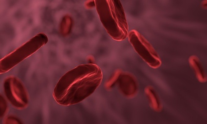 Por que diabÃ©ticos nÃ£o podem doar sangue? A hematologista afirma que a doaÃ§Ã£o entre diabÃ©ticos dependentes de insulina nÃ£o Ã© recomendada pois, por utilizarem uma insulina que nÃ£o Ã© humana, o receptor, ao receber o sangue, pode criar anticorpos contra a substÃ¢ncia e gerar complicaÃ§Ãµes