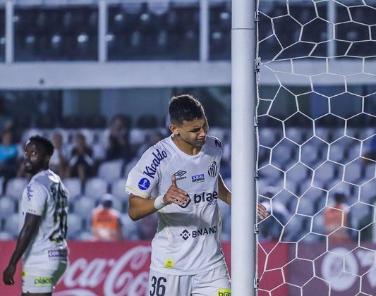 Santos (grupo E da Sul-Americana)Classificação e pontuação: 3º lugar com cinco pontosSituação: eliminado da competição