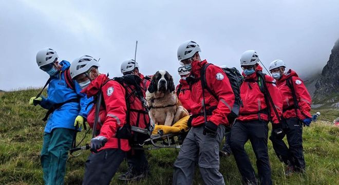 Grupo carregando Daisy com uma maca