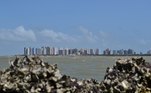 São Luís (MA) - 
  11,25%A maior alta de preços apurada na capital
maranhense nos últimos meses também foi guiada pelo repolho (+73,36%).
Na sequência, aparecem óleo de soja (+63,98%), acém (+56,79%) e as passagens
aéreas (+54,13%)