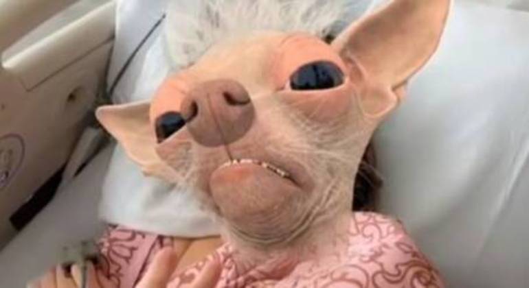 Marido filma esposa com filtro de cabeça de cachorro durante o trabalho de parto
