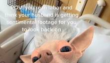 Marido filma esposa com filtro de cachorro durante trabalho de parto