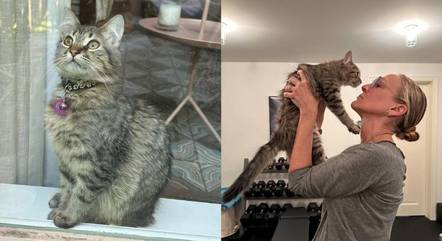 Sarah Jessica Parker adota colega felino de trabalho e web reage