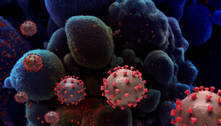 Covid-19: além do vírus, sistema de defesa também pode afetar pulmão 