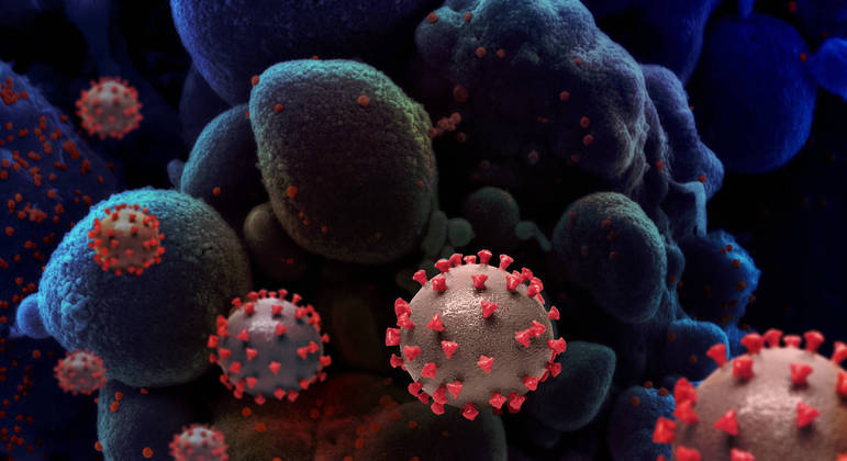 Pesquisadores estudaram relação do SARS-CoV-2 com os macrófagos
