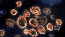 Reino Unido identifica mais uma nova mutação do coronavírus