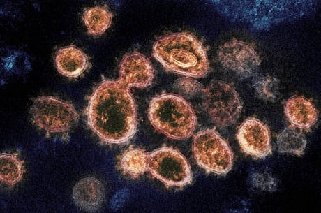 Genoma do vírus estava disponível em 12 de janeiro