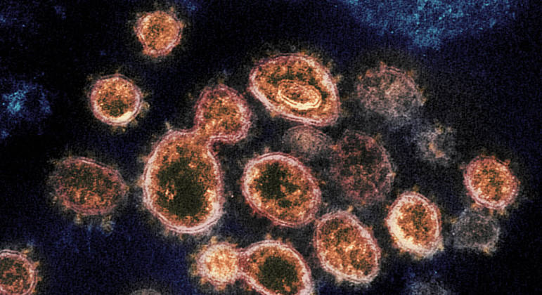 Pesquisadores, no entanto, não conseguem afirmar se os vírus eram capazes de infectar pessoas
