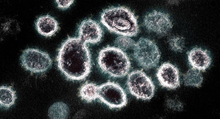 Estudo é indicativo sobre influência do tipo sanguíneo na infecção pelo coronavírus
