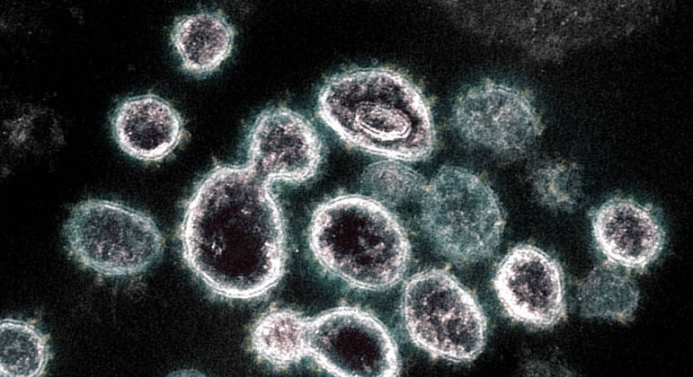 Descoberta auxilia na compreensão de como o vírus pode ser transmitido por meio da saliva