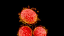 Inglaterra detecta mais de 1.000 casos de mutação do coronavírus