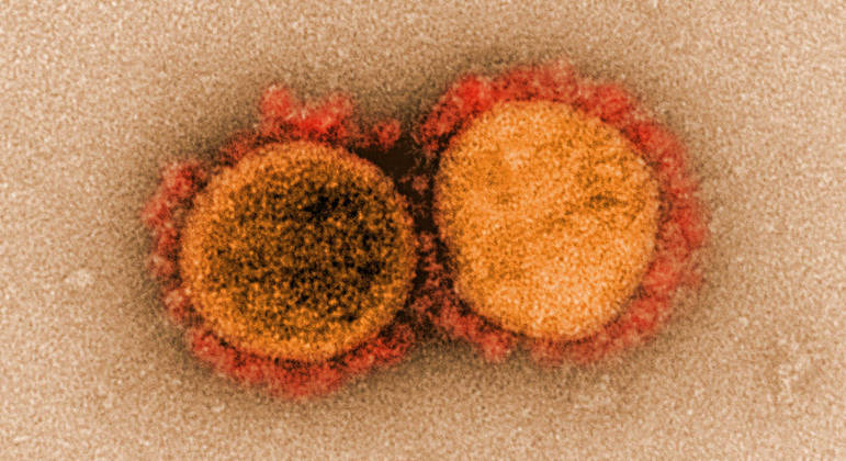 Teste analisa material genético do coronavírus sem necessidade de mandá-lo para laboratório