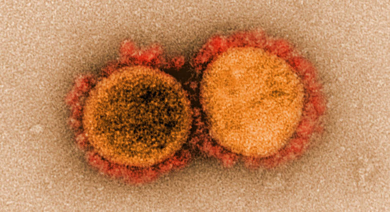 Vírus não deve sofrer mutações significativas agora, afirma virologista