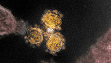 Nova variante do coronavírus recebe nome de Ômicron