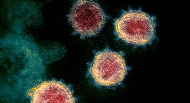 Cientistas não descartam que o gene misterioso encontrado contribua para a biologia única do vírus
