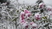 Semana deve ter frio intenso e pode nevar no Sul do país 