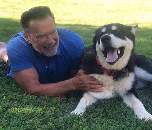 Schwarzenegger também curte animais. Na foto, ele e seu cachorro Dutch. 