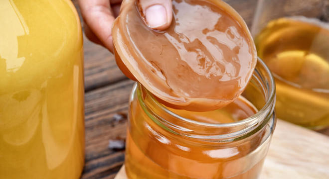 Scoby da Kombucha