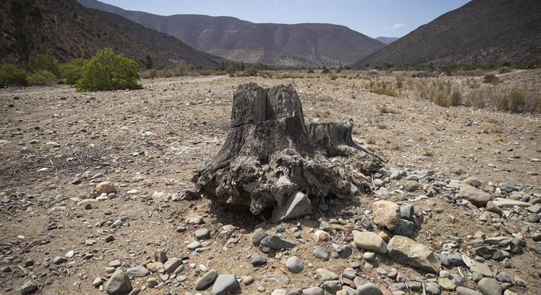 Chile se prepara para posible racionamiento de agua – noticias