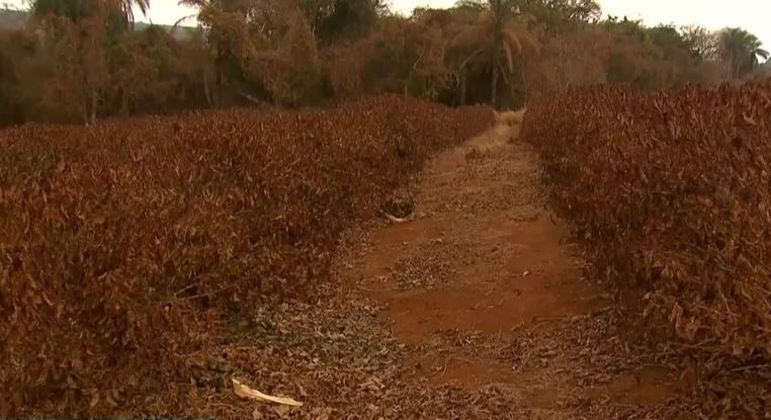 Meteorologia alerta para riscos da seca em seis estados e no DF