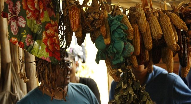 Secagem do milho no pós-colheita em aldeia guarani