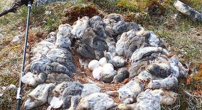 Segredos do Mundo