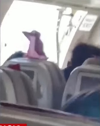 Segundo um funcionário da companhia aérea Asiana Airlines, um homem que estava sentado próximo à saída de emergência teria aberto a porta de propósito.