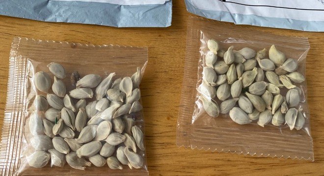 Pacotes com sementes enviados por meio dos Correios