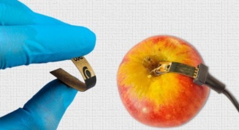 Sensor de papel detecta agrotóxico em alimentos