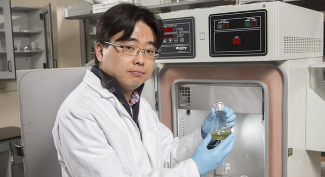 O pesquisador Seokheun Choi trabalha há cinco anos nas baterias que usam papel e são alimentadas por bactérias