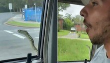 Casal flagra serpente clandestina na janela do carro durante passeio