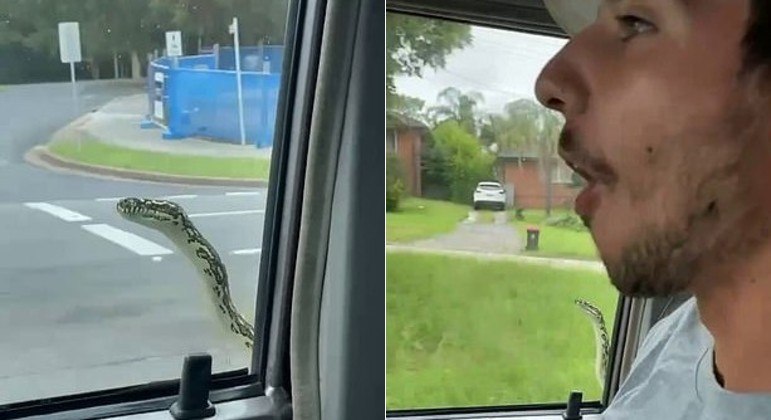 Casal australiano foi surpreendido por serpente clandestina na janela do carro