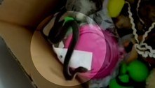 Serpente mais mortal da Austrália é removida de caixa de brinquedos 