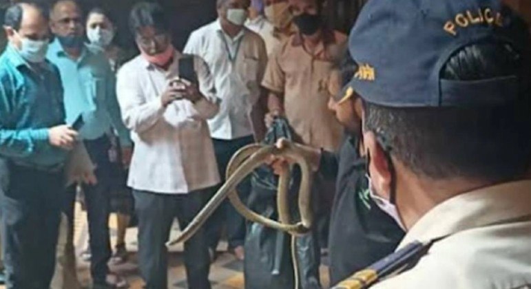 Serpente foi resgatada após invadir tribunal em Bombaim, na Índia