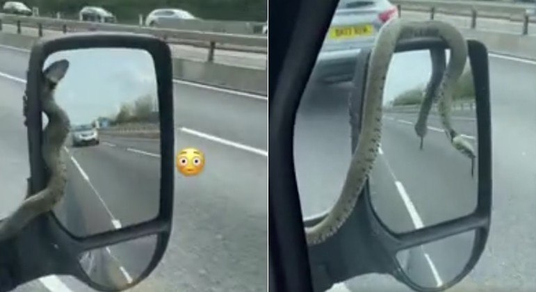 Serpente foi flagrada sobre retrovisor de van a 112 km/h na Inglaterra