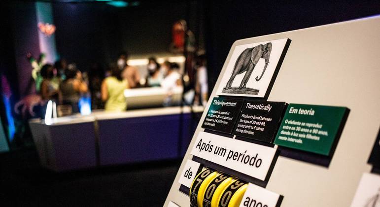 Sesc apresenta exposição interativa gratuita e inédita sobre Charles Darwin – Notícias
